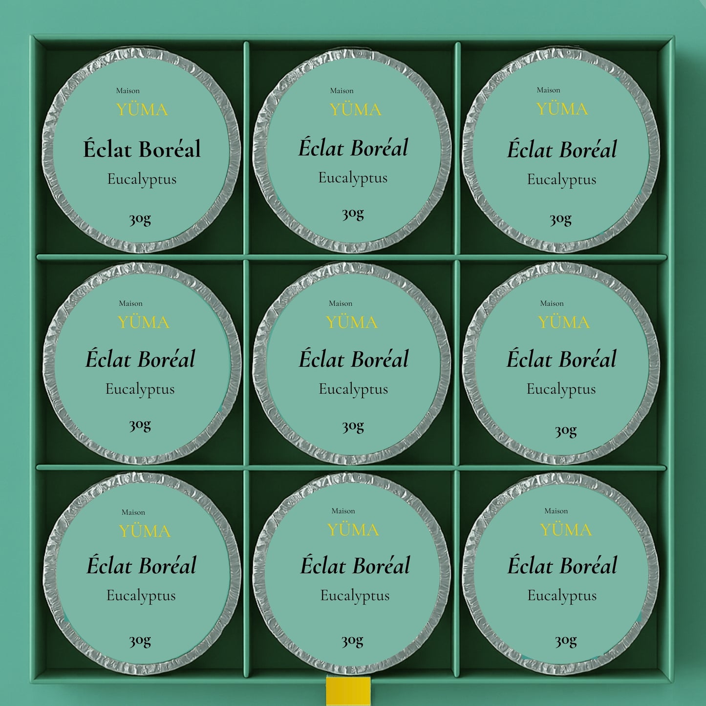 ÉCLAT BORÉAL Eucalyptus