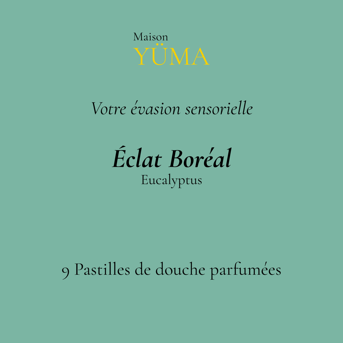 ÉCLAT BORÉAL Eucalyptus