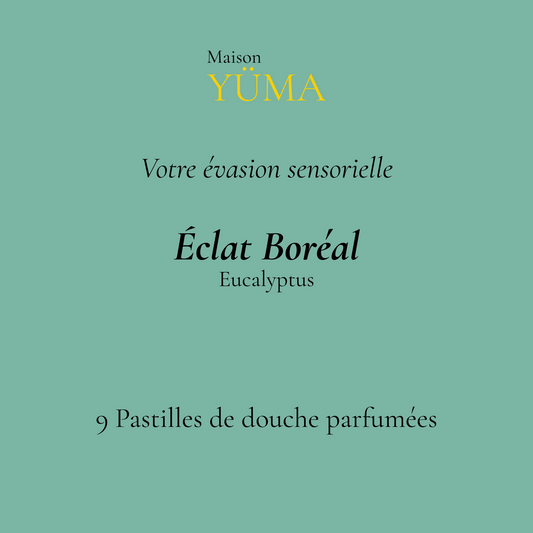ÉCLAT BORÉAL Eucalyptus